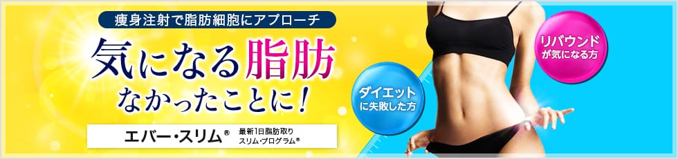 痩身注射で脂肪細胞にアプローチ 気になる脂肪なかったことに！ エバー・スリム® 最新1日脂肪取りスリム・プログラム® ダイエットに失敗した方 リバウンドが気になる方