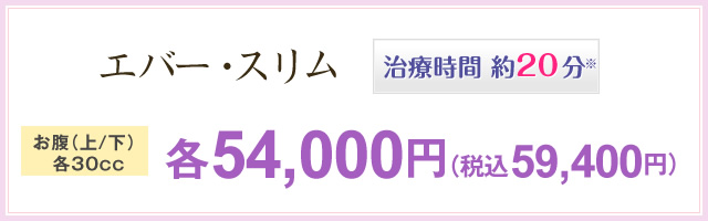 スリム･プログラム 治療時間 約20分 腹部(上/下/腰)30cc 126,000円(税抜)